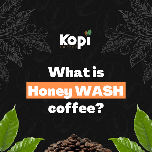 What is Honey Processed Coffee And How Does It Taste